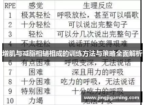 增肌与减脂相辅相成的训练方法与策略全面解析