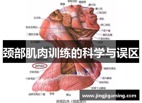 颈部肌肉训练的科学与误区